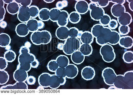 Amazing Artistic Many Bio Primitive Organisms Computer Art Texture Illustration