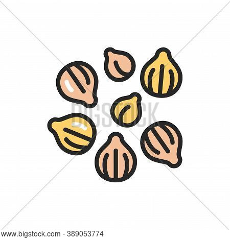 Coriander Color Line Icon. , Seasoning. Vector Illustration