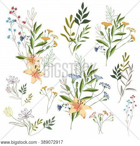 Hand Drawn Flower Collection. Big Set Botanic Branches, Leaves, Foliage, Herbs, Wild Plants In Bouqu