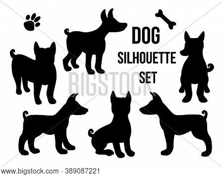 Set Dog Silhouette In Different Poses. Vector Illustration Isolated On White Background. Dog Breed B