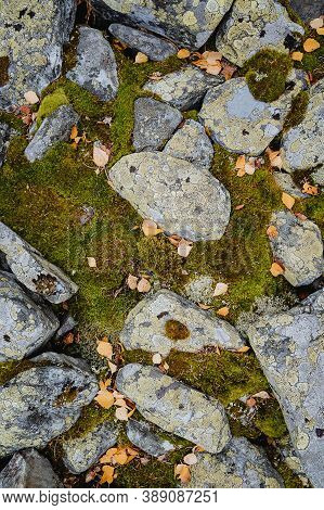 A Pile Of Large Stones, With The Stones Overgrown With Moss, Qurum.