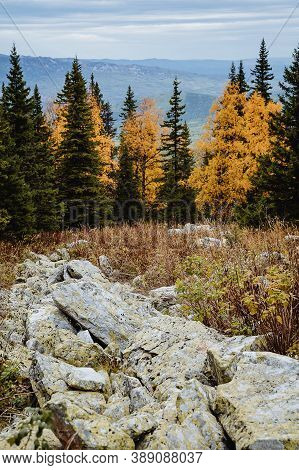 Large Kurum Stones Lie In The Autumn Forest In The Mountains, Stones Covered With Moss On The Backgr