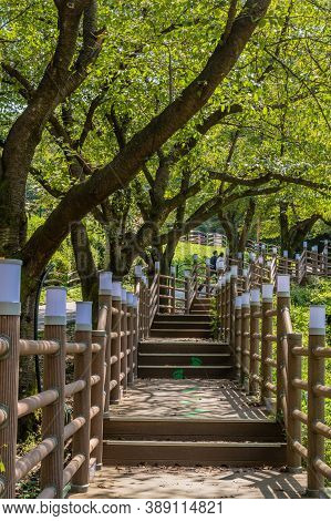 Jinan County, South Korea; September 20, 2020: For Editorial Use Only. Wooden Stairs Under Lush Shad