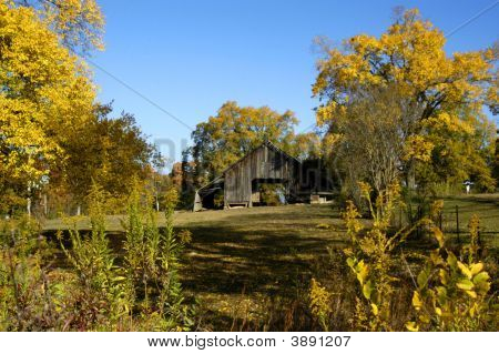 Arkansas na podzim žluté barvy