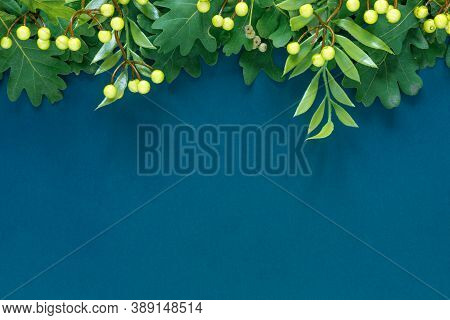 Autumn Oak And Rowan Branches With Red Berries On Blue Background.
Flat Lay, Top View, Copy Space Co