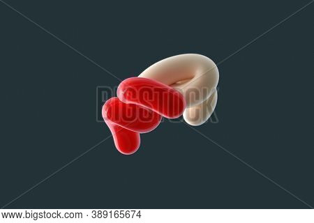 merging two organic forms, 3d illustration