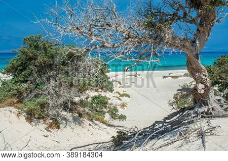 Photo Of Greece Island Chrysi With White Sand  Cedar Trees