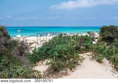 Photo Of Greece Island Chrysi With White Sand  Cedar Trees
