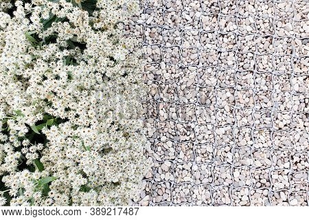 White Pedestrian Path From Small Gravel With Plastic Garden Grate, Along The Flower Bed With White F
