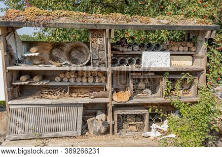 Rustic And Original Hotel Or Home For Insects Formed By Troncon, Boxes And Pieces Of Wood, With Moss