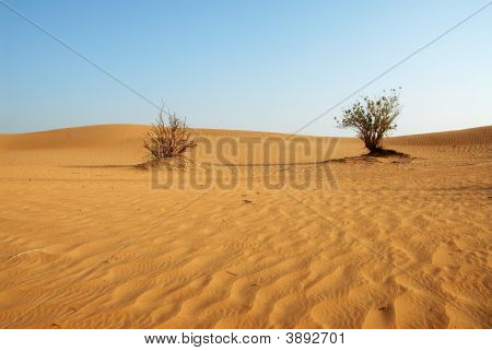 Wüste in dubai