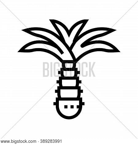Palm Tree Line Icon Vector. Palm Tree Sign. Isolated Contour Symbol Black Illustration