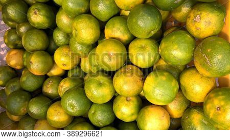 View Of Citrus Fruit Orange Kept Well Stocked