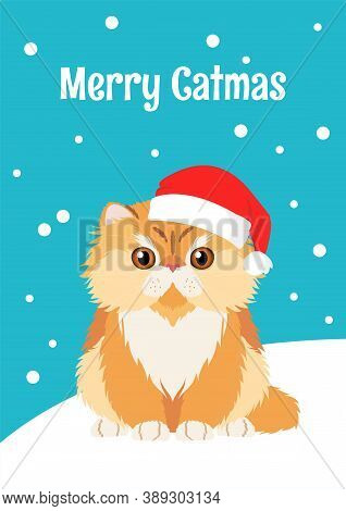Christmas Card With Persian Cat In Santa Hat. Inscription Merry Catmas. Minimalistic Flat Vector Ill