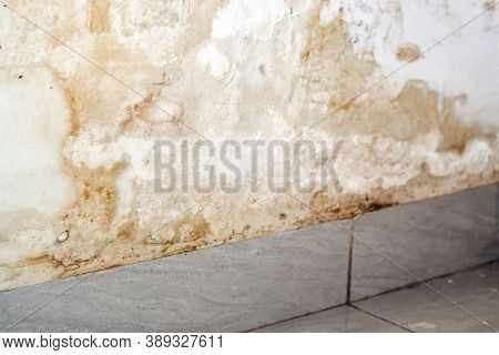 White Wall Get Damaged And Dirty By Water Leaking, Seeping Wall House