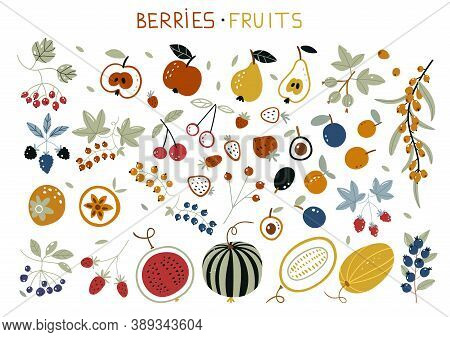 Autumn Harvest With Garden Fruits And Berries. Forest Berry. Sweet Fruit. Flat Style, Vector Illustr