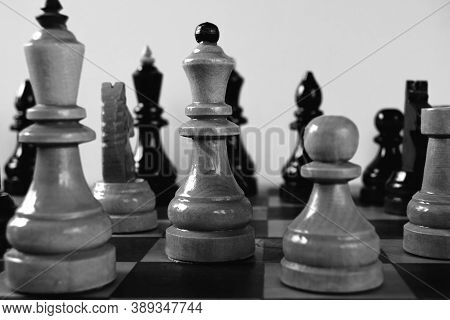 Black And White Wooden Chess Pieces Beautifully Photographed, Monochrome Indoor Play Background