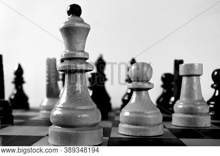 Black And White Wooden Chess Pieces Beautifully Photographed, Monochrome Indoor Play Background