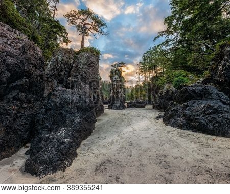 Beautiful Sea Stacks At Sunrise On San Josef Bay In Cape Scott Provincial Park On Vancouver Island, 