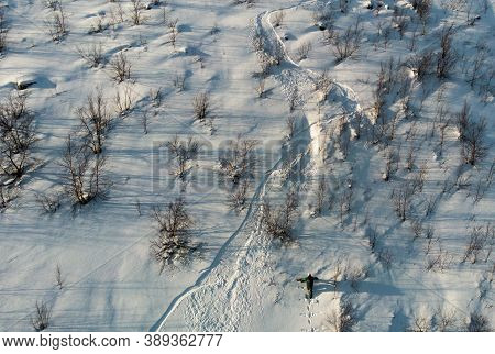 Lonely Freerider From A Bird's Eye View