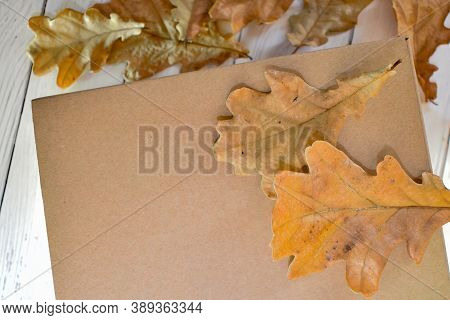 Autumn oak leaves are scattered on the background of a cardboard box. Concept: seasonal delivery, pa