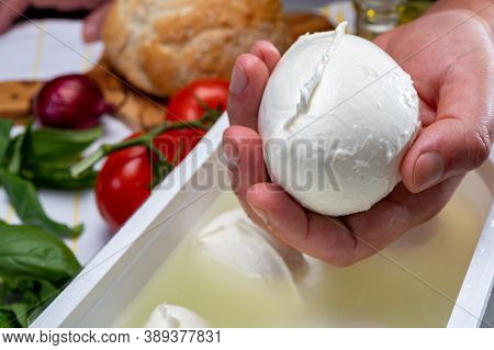 Cheese Maker Holding In Hand Fresh Handmade Soft Italian Cheese From Campania, White Balls Of Buffal