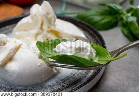 Eating Of Fresh Handmade Soft Italian Cheese From Puglia, White Balls Of Burrata Or Burratina Cheese