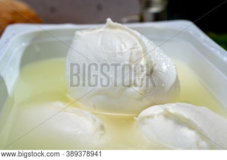 Cheese Shop, Fresh Handmade Soft Italian Cheese From Campania, White Balls Of Buffalo Mozzarella Che