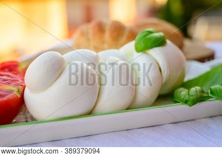 Fresh Soft White Italian Cheese Braid Mozzarella Buffalo Made From Italian Buffalo's Milk By Pasta F