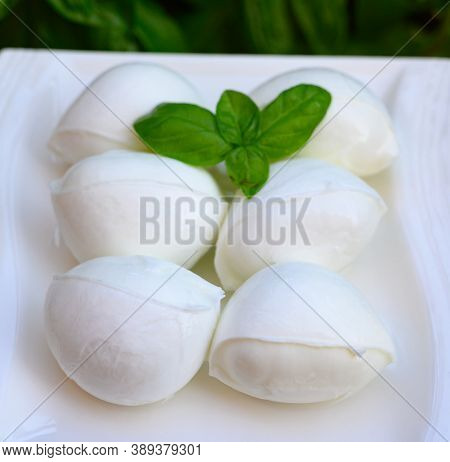 Fresh Soft White Italian Cheese Mozzarella Buffalo Made From Italian Buffalo's Milk By Pasta Filata
