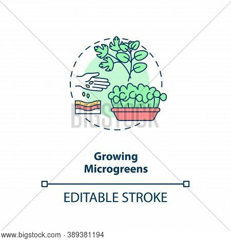 Growing Microgreens Concept Icon. Practice Of Growing Little Green Crops. Vegetable Confetti. Urban 