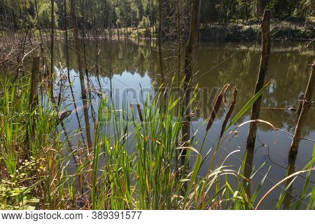 The Pits Were Flooded With Water From The Iron Mine That Was Sunk A Hundred Years Ago. A Place In Si