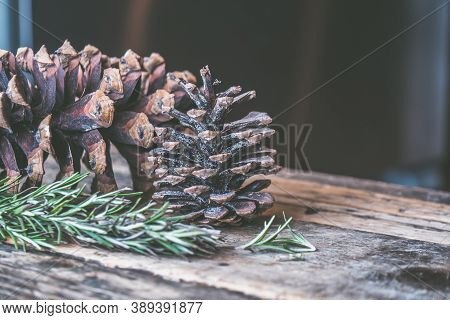 fir trees on wooden planks for Christmas celebrations