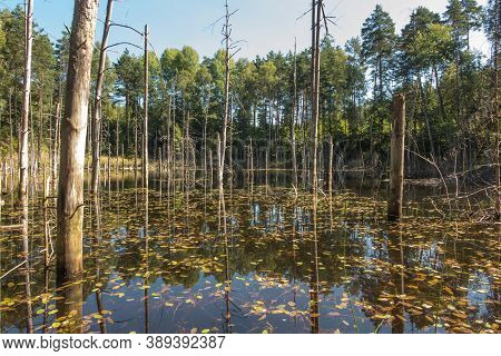 The Pits Were Flooded With Water From The Iron Mine That Was Sunk A Hundred Years Ago. A Place In Si
