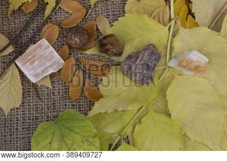 On The Autumn Leaves Are Semi-precious Stones Red Gypsum, Garnet, Wulfenite, Andalusite, Citrine.
