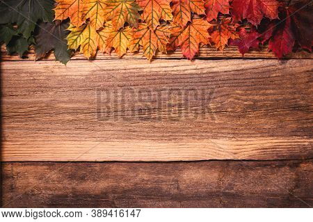 Colorful Autumn Leaves Over A Textured Vintage Rustic Wooden Background With Copy Space