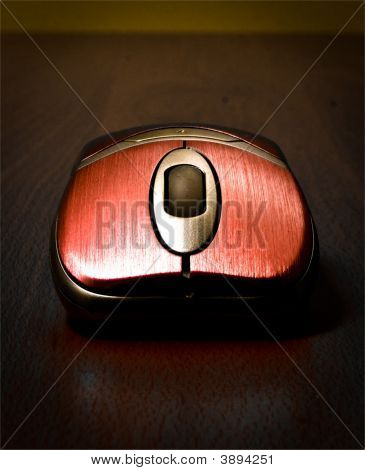 Pinkdarkmouse