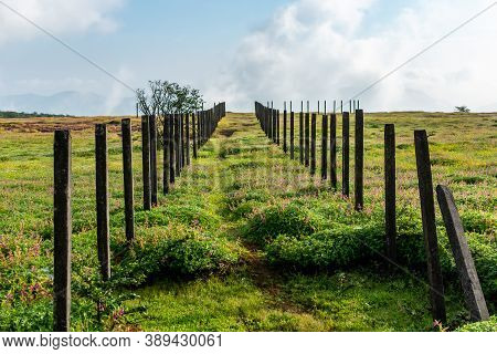 Leading Lines Landscape At Kaas Plateau Satara