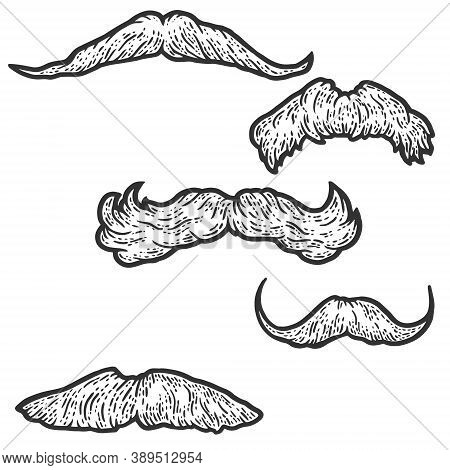 Set, Five Male Retro Mustaches. Sketch Scratch Board Imitation Coloring.