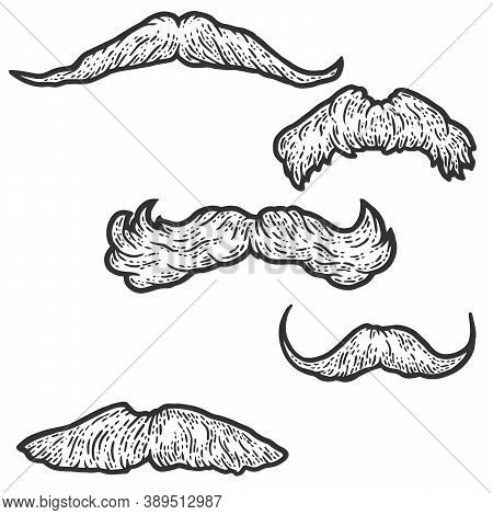 Set, Five Male Retro Mustaches. Sketch Scratch Board Imitation Coloring.