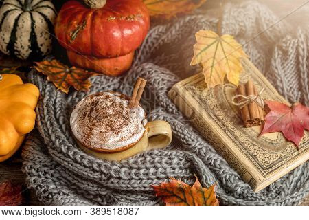 Autumn Concept, Still Life Of Pumpkin Latte With Whipped Milk Cream And Cinamon. Colorful Pumpkins A