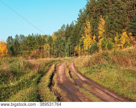 Autumn Rural Road Landscape. Autumn Forest Path Through The Field. Road Track In Rural Areas. Natura