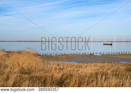Typical Dutch landscape in Polder at Eemmeer