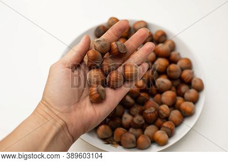 Hazelnut Hill In Female Hands On The Background Of A Plate With Nuts. Photo Close-up