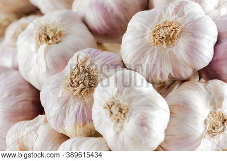 White Garlic Texture. Fresh Garlic Closeup. Spicy Cooking Ingredient Picture. White Garlic Head Heap