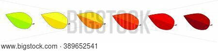 Autumnal Border With Colorful Leaf Collection. Leaves Divider For Autumn Design. Fall Or Thanksgivin