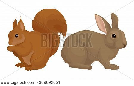 Rodents With Robust Bodies And Short Limbs Vector Set