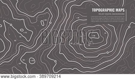 Geographic Topographic Map Grid. Topography Map Background. Vector Web Banner In Grey Colors.