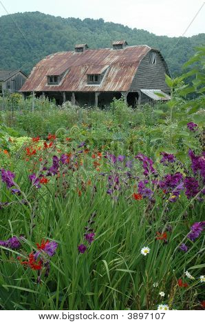 Fienile rurale con fiori di campo