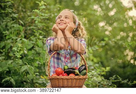 Day Dreamer. Happy Little Farmer. Autumn Harvest. Healthy Food For Children. Kid On Summer Farm. Org